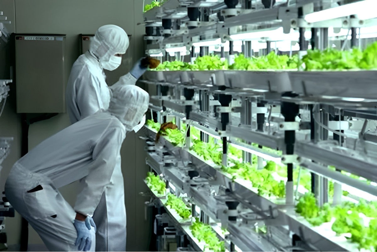 QUALITA' E SICUREZZA ITALIANA